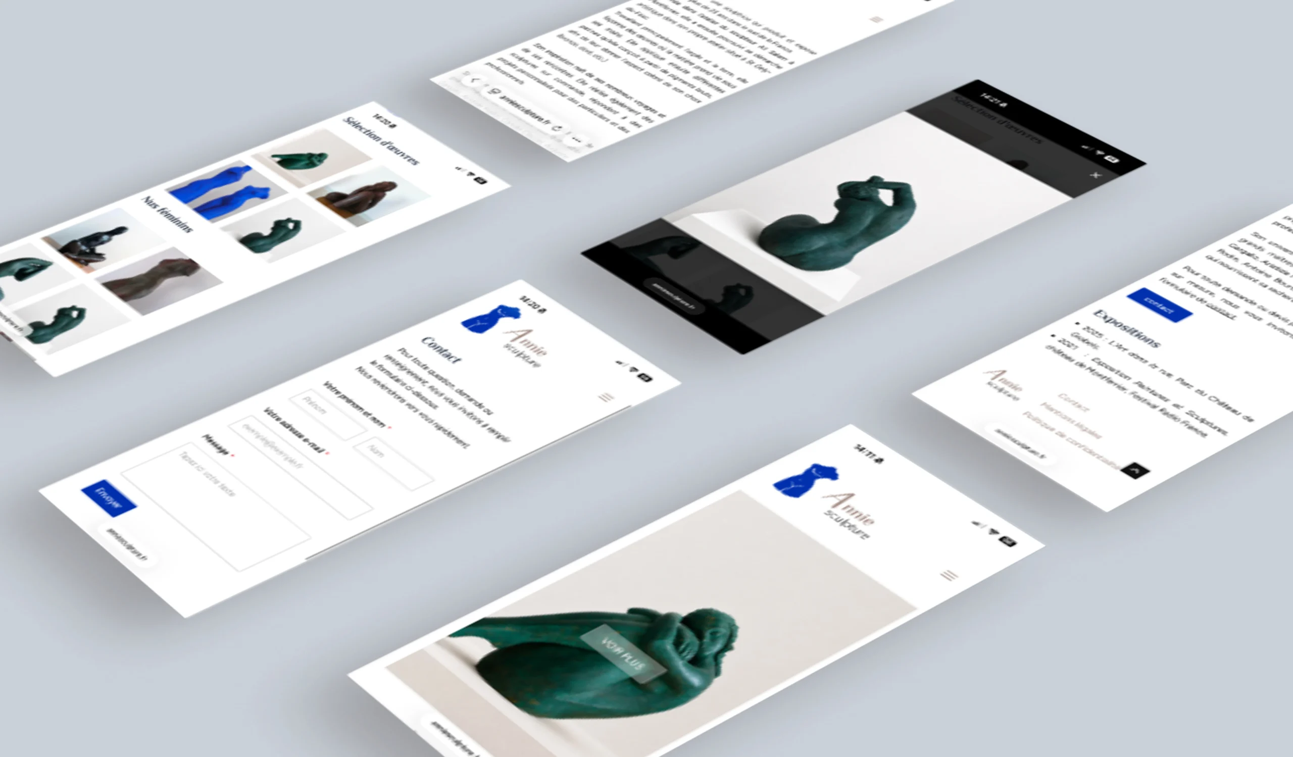 Aperçu des pages du projet